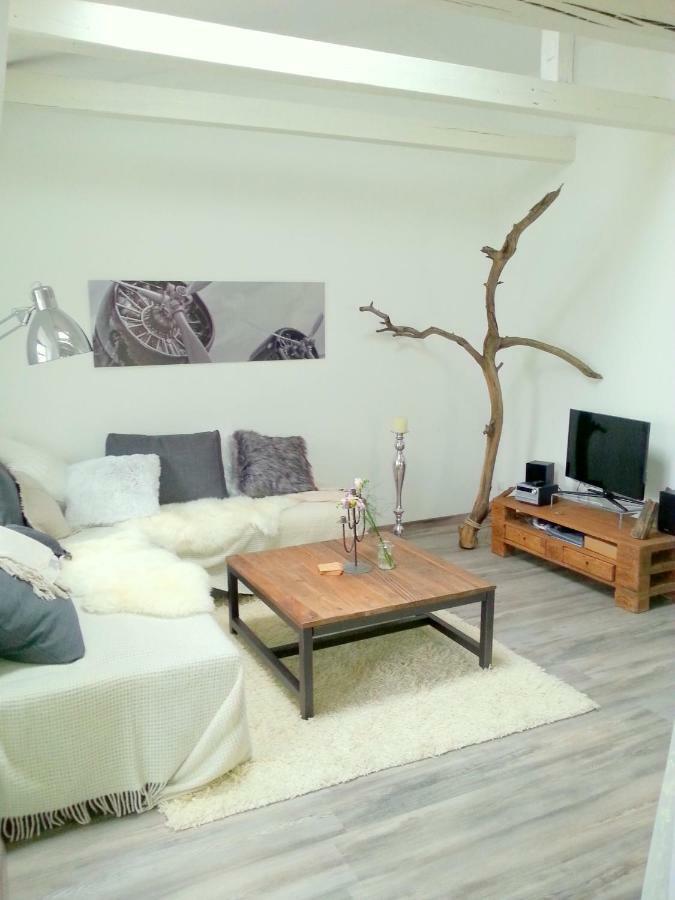 Loft Im Turmhaus Am Weissen Hirsch